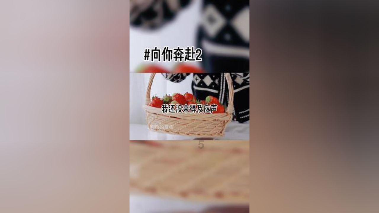 救援环境科学家