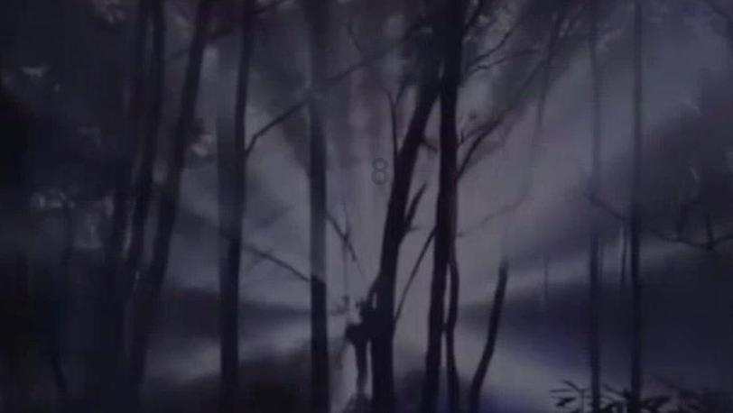 拯救者