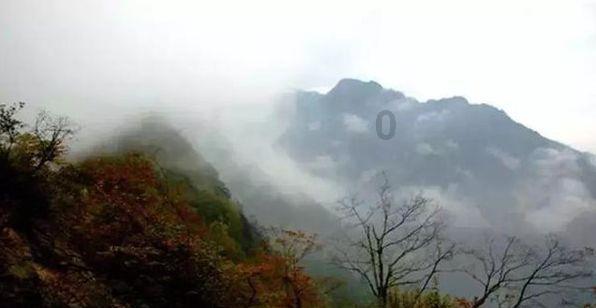 侍忍者