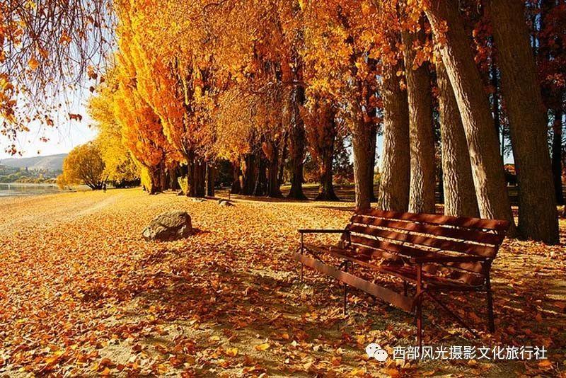斯拉格精灵战争