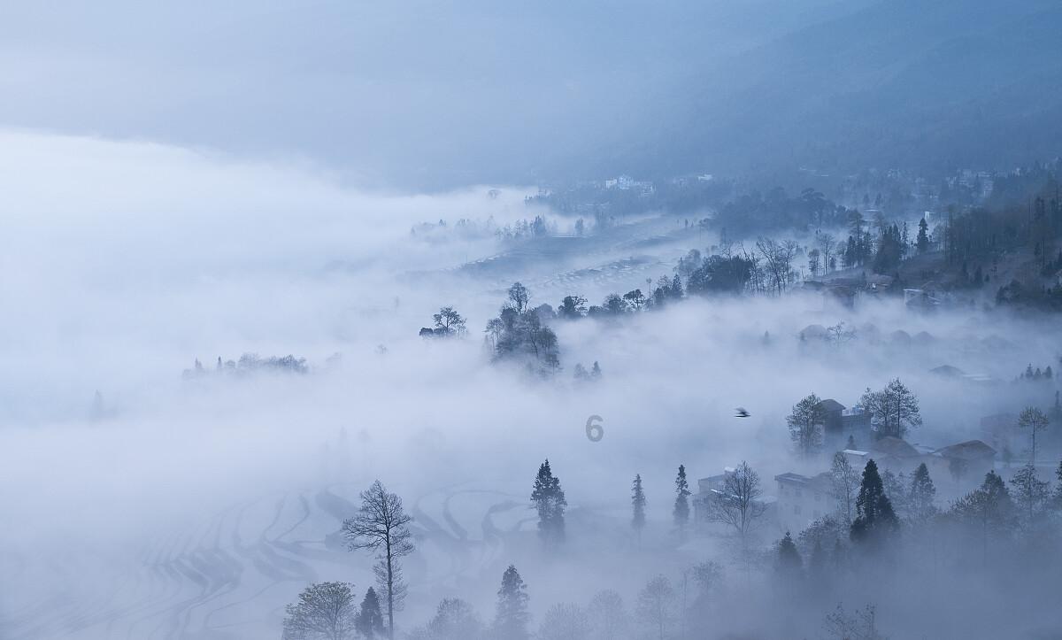 小恐龙来找茬