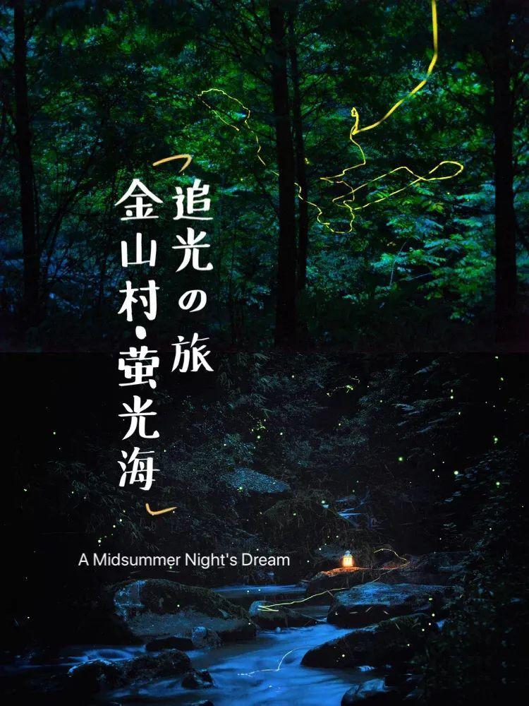 看门狗2