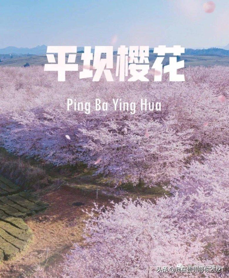 拯救孩子詹姆斯