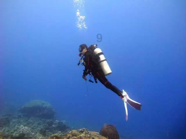 一飞冲天!“烟台造”TR100大型垂直起降无人运输机首飞成功