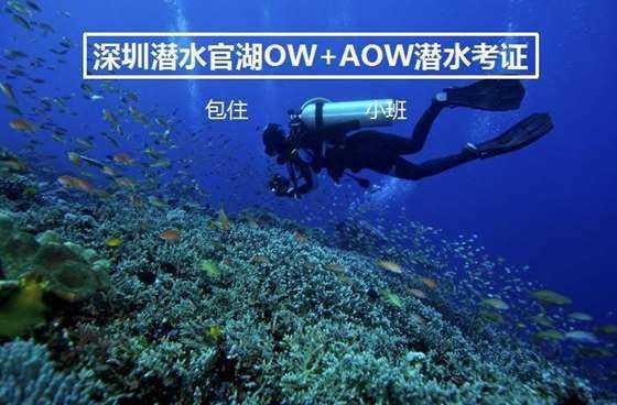 憨豆先生找小熊