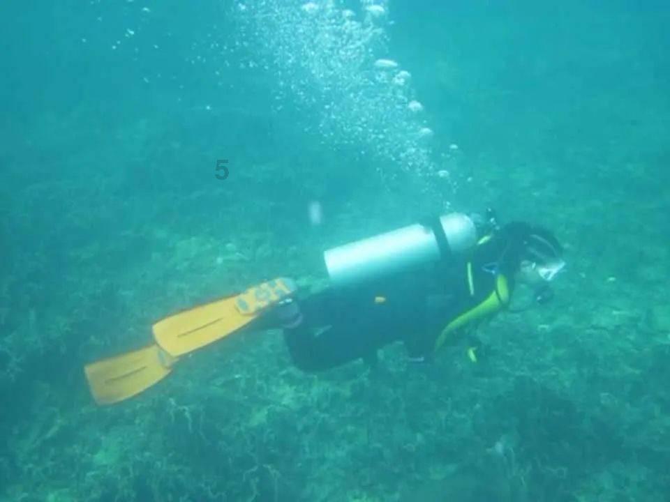 疯狂的麦克斯