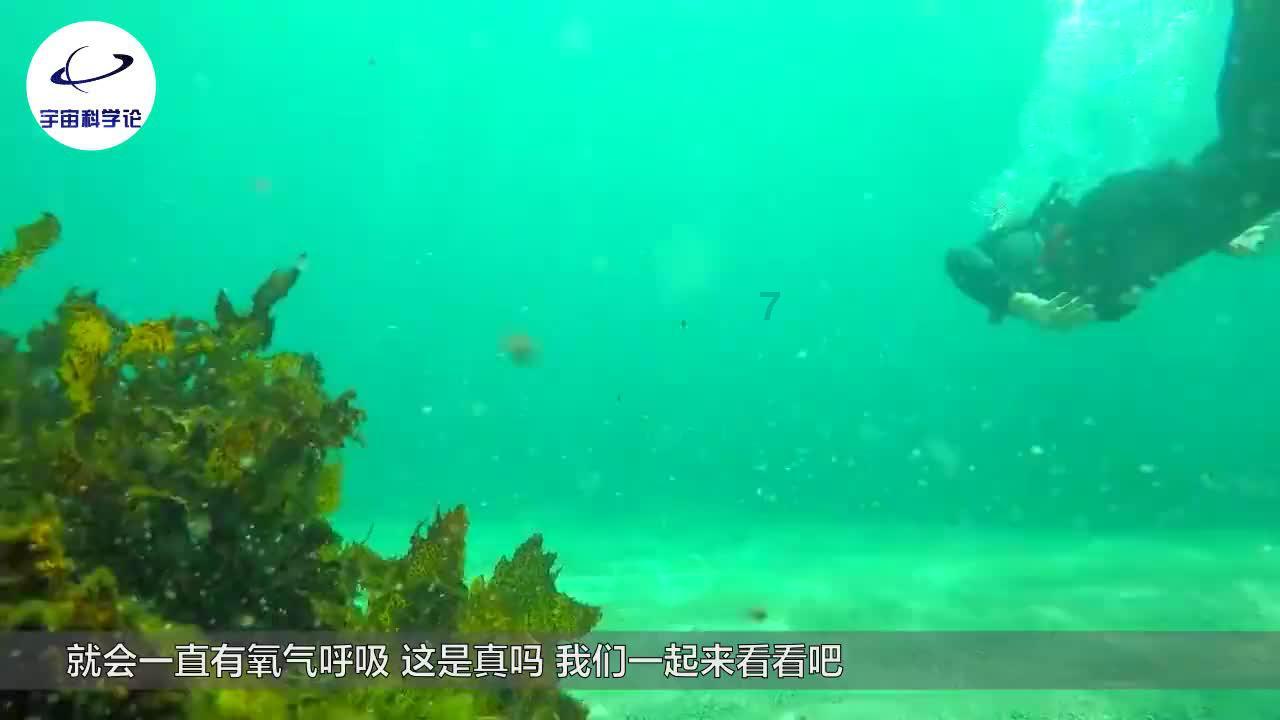 兽人必须死