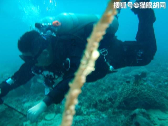 美图秀秀下载2023最新版