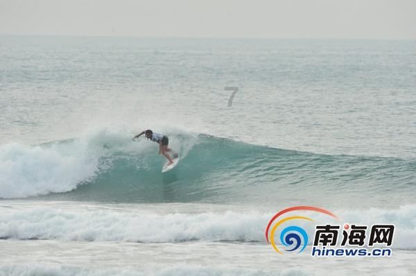成交额超500万元!2024海南首场明清瓷器拍卖会举行
