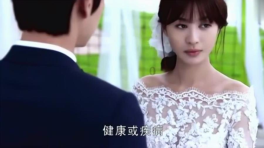 金刚鹦鹉逃生