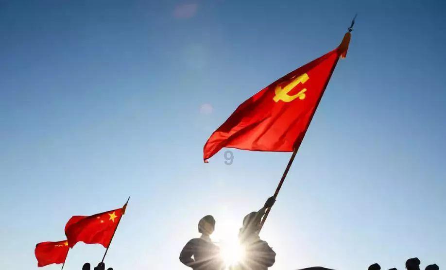 救援袋鼬