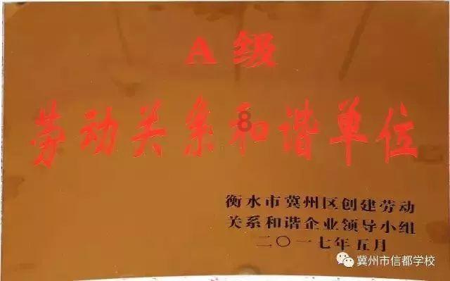 可爱猫咪救援