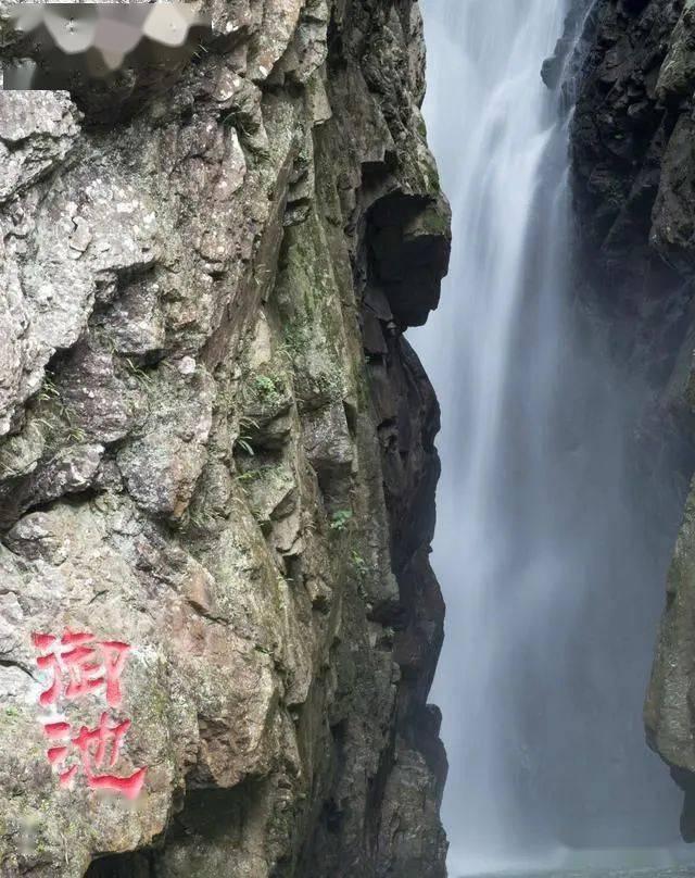 小猫钓鱼正版下载中文版