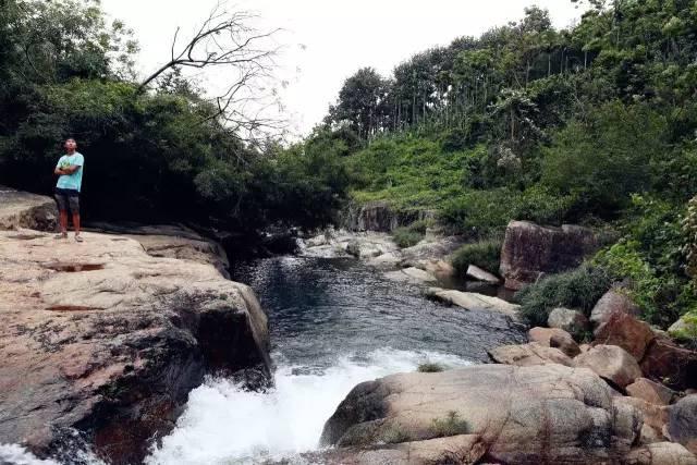 虫虫助手下载