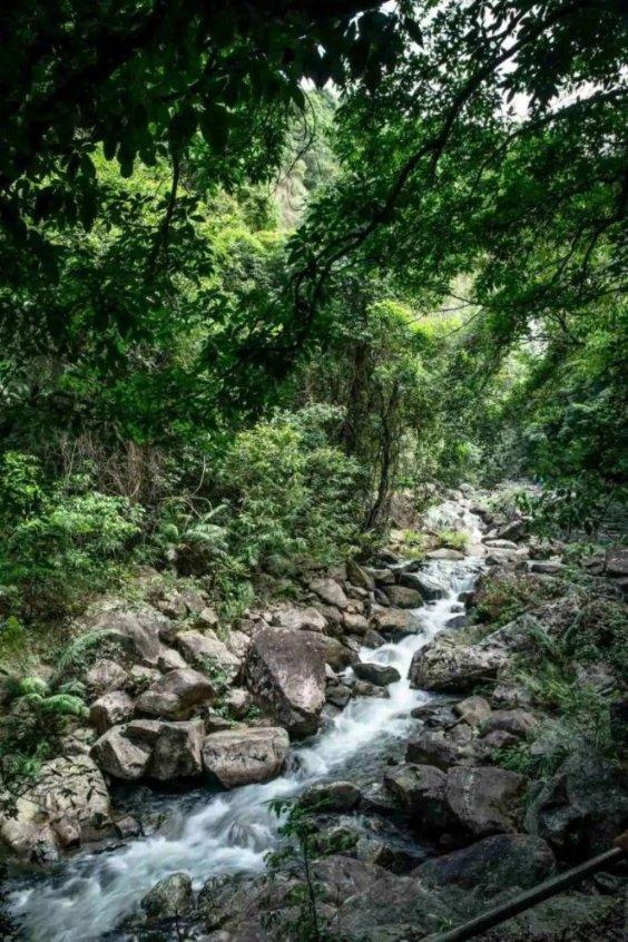 逃离废弃高校