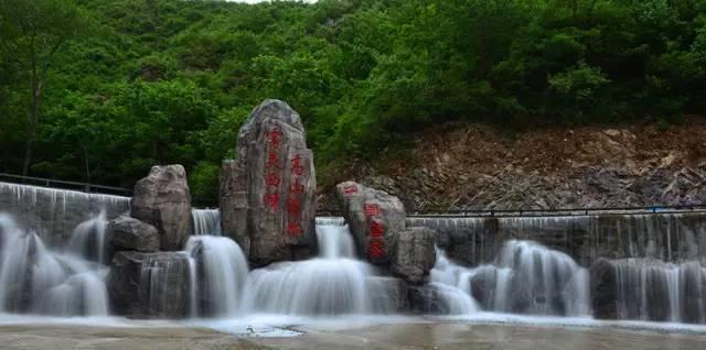 动物帮帮忙保卫家园