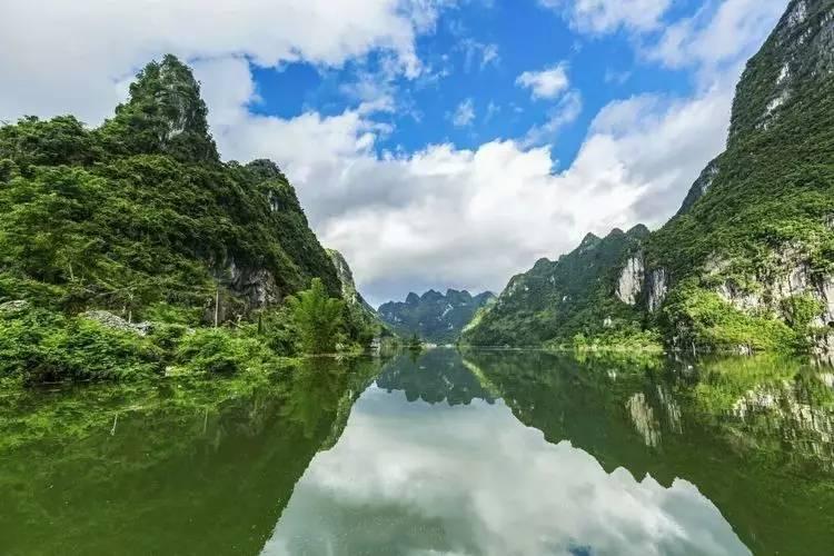 国王的坐骑