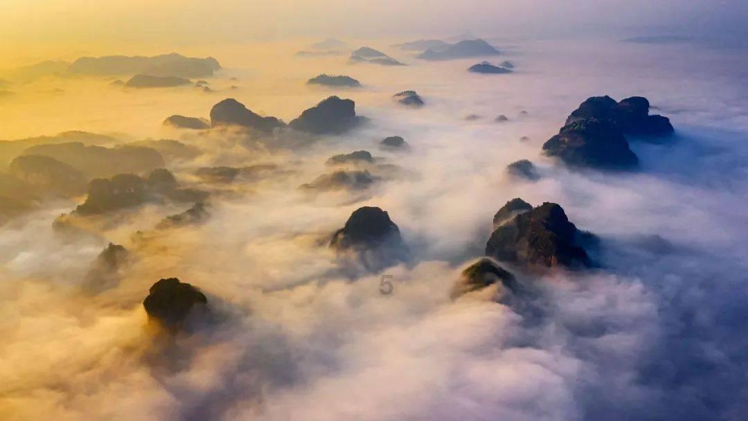 虫虫助手下载